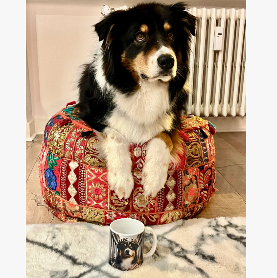 A custom pet portrait mug featuring dog dressed as a Roman emperor - this dog is just next to that mug, making an inception impression.